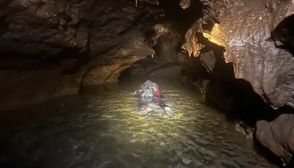 These Snorkeling Scientists Stumbled Upon a Surprising Trove of Fossils in a Texas Water Cave